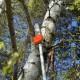Piła łańcuchowa na kosę z wysięgnikiem 150 cm 28mm 9 zębów
