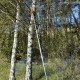 Piła łańcuchowa na kosę z wysięgnikiem 150 cm 28mm 9 zębów