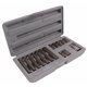 Zestaw Torx 15el. T20-T55 30 i 75mm nasadka HEX 1/2